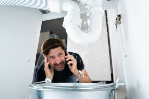 Best Leak Detection Services  in Oak Forest, IL